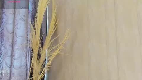 C H L O E  online show from 01-17-26, 12:54