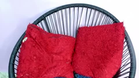 chloe online show from 12-05-24, 05:17