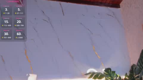 Chloee online show from 12-02-25, 11:37