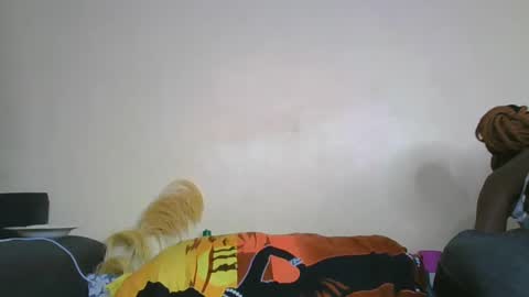 nei online show from 02-11-25, 06:01