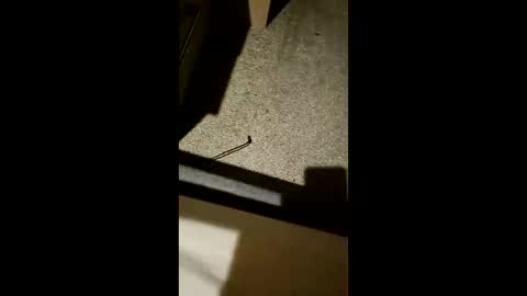 Snapshot of chrisgogo121 chatting on 11-17-25, 10:26 chrisgogo121 online show from 11-17-25, 10:26