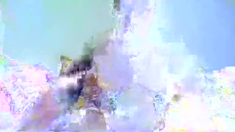 Snapshot of chrispainpig chatting on 01-07-25, 03:33 Chrispainpig torture bdsm masochist slave submissive hardcore anal CBT humiliation online show from 01-07-25, 03:33