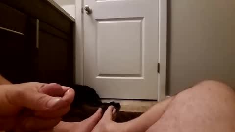 chubbycurious1133 online show from 04-25-26, 06:27