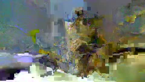 chuck354139 online show from 02-13-25, 03:14