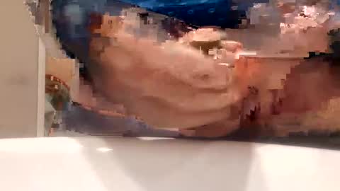 Snapshot of chule63 chatting on 01-25-25, 09:47 chule63 online show from 01-25-25, 09:47