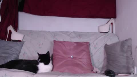 Snapshot of cicimom chatting on 01-24-25, 03:32 cicimom online show from 01-24-25, 03:32