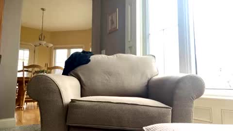 cinapw online show from 12-21-24, 03:53