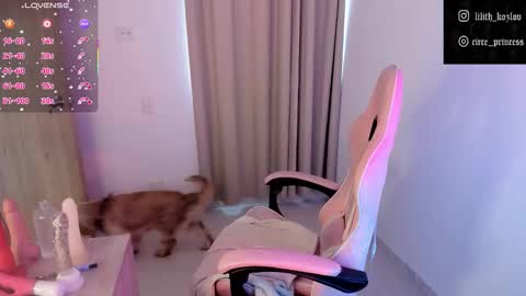 Snapshot of circe_l chatting on 11-17-25, 09:31 Paulina online show from 11-17-25, 09:31