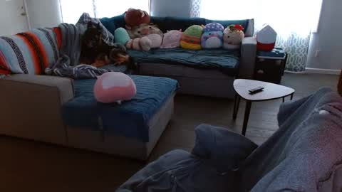 Stone Daily online show from 09-22-25, 01:57