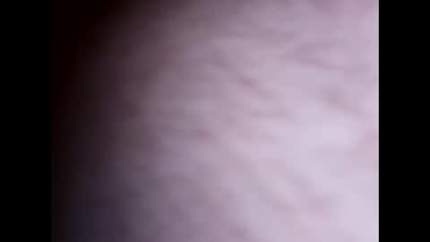 clit_commander209 online show from 11-27-25, 07:54