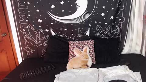 Snapshot of cloemurphy chatting on 01-22-25, 02:15 Cloe online show from 01-22-25, 02:15