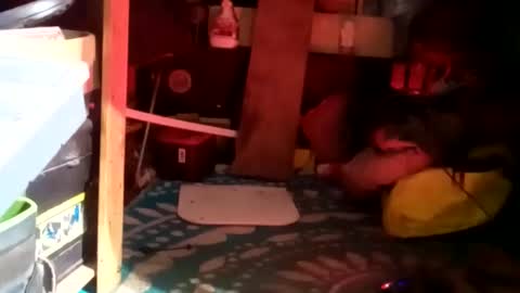 Snapshot of clubberlang10 chatting on 01-23-25, 09:39 HeyTurkeyBoy online show from 01-23-25, 09:39