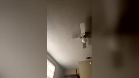 cm653925 online show from 02-03-26, 01:38