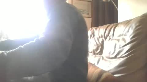 cock9635 online show from 12-28-24, 07:55