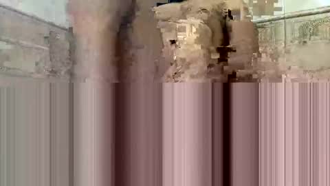 cockdoc4444 online show from 10-15-25, 05:40