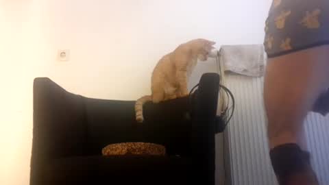 cockholder420 online show from 11-23-25, 09:09