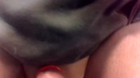 Snapshot of cocksmithog chatting on 01-19-25, 11:43 cocksmithog online show from 01-19-25, 11:43