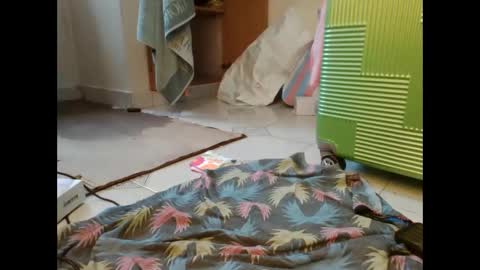 Snapshot of coco_vixen9 chatting on 11-29-25, 09:12 coco vixen9 online show from 11-29-25, 09:12