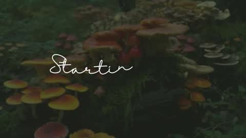 Sunnye Daze online show from 03-24-26, 03:11