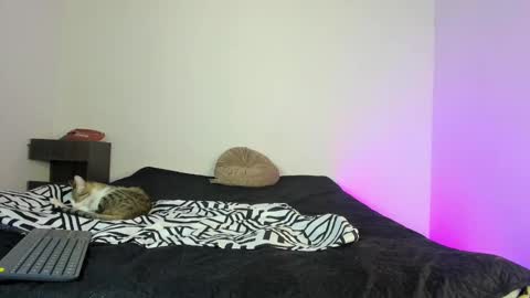 cody online show from 11-16-25, 01:49