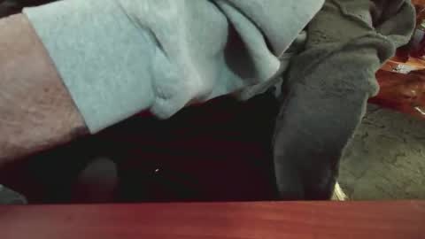 Snapshot of cody81421 chatting on 01-15-25, 05:47 cody81421 online show from 01-15-25, 05:47