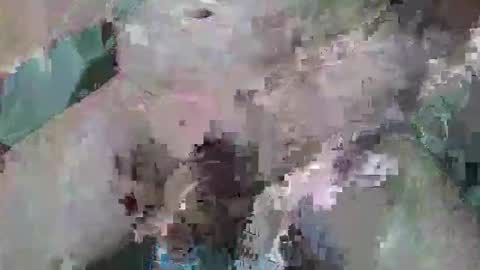 Snapshot of cogela_sin_miedo chatting on 10-06-25, 11:46 cogela_sin_miedo online show from 10-06-25, 11:46