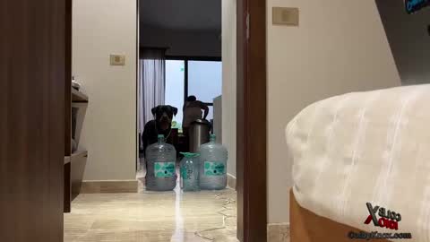 colbyknox online show from 09-20-25, 11:06