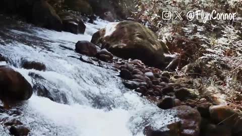 Connor Flyn online show from 12-12-24, 08:47