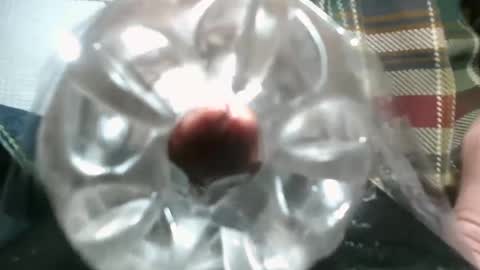 bearded hairy pits big brown cock online show from 12-03-24, 10:29