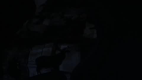 Snapshot of cooley77701 chatting on 02-05-26, 10:42 cooley77701 online show from 02-05-26, 10:42