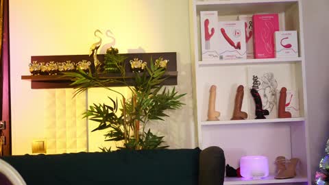 Snapshot of coolteacher chatting on 01-12-25, 11:17 Ginger The Cringer online show from 01-12-25, 11:17