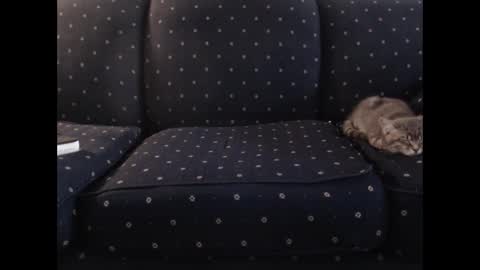 copper_crotch online show from 12-19-25, 01:34