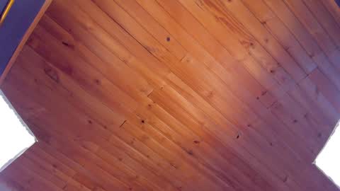 Snapshot of coraline_latin chatting on 01-24-25, 01:45 Coraline online show from 01-24-25, 01:45