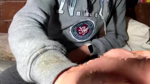 Snapshot of corradog83 chatting on 12-29-24, 08:33 Corrado online show from 12-29-24, 08:33