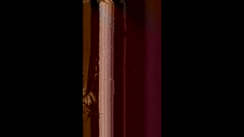 Snapshot of corradog83 chatting on 02-08-25, 08:52 Corrado online show from 02-08-25, 08:52