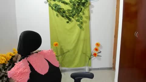 Snapshot of corzoethan chatting on 12-28-24, 04:30 Ethan online show from 12-28-24, 04:30