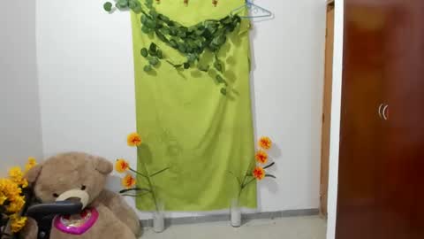 Snapshot of corzoethan chatting on 01-27-25, 02:31 Ethan online show from 01-27-25, 02:31