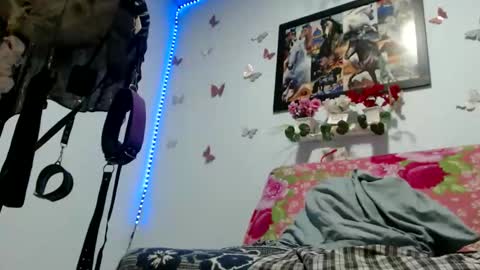 sofiabigcock69 online show from 03-02-26, 09:27