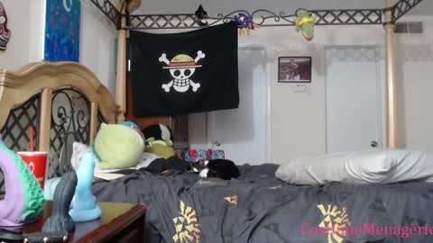 Amethyst Cox online show from 01-17-25, 12:20