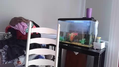 Fallen Angel 21 online show from 03-04-25, 05:56