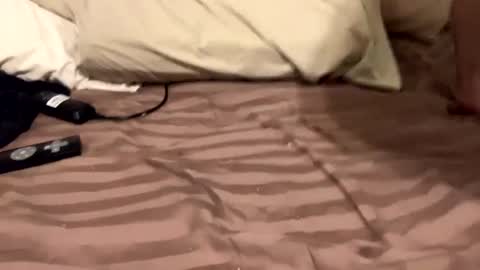 Countrystudd online show from 12-11-24, 08:58