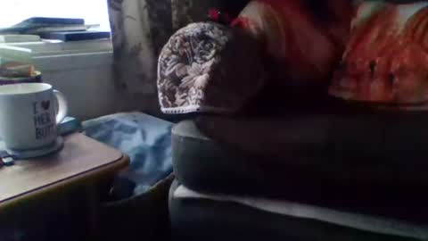 courieral1 online show from 02-15-25, 08:00