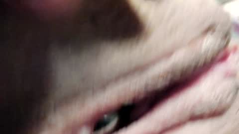 Im Courtney Nice to meet youFollow meInstagram courtneyluv778 online show from 01-30-25, 03:40