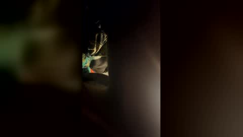 cowboy277228 online show from 03-24-26, 07:24