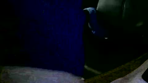 coyote017 online show from 01-31-25, 11:13