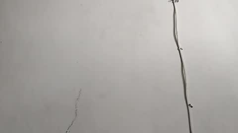 CreamyCocoBabe online show from 04-29-26, 08:04