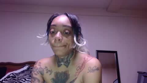 CreamyExotica online show from 01-16-26, 11:58