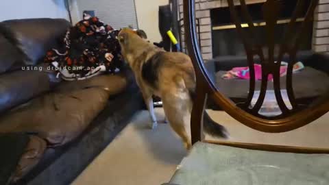 Snapshot of creeeping_death chatting on 09-27-25, 08:08 The hopeless romantic online show from 09-27-25, 08:08