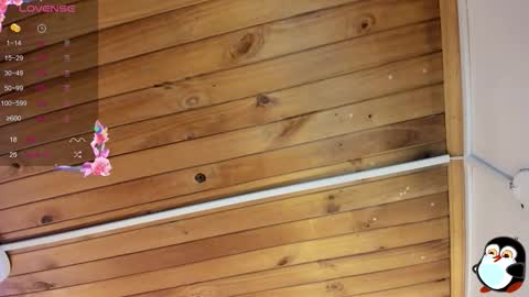 Snapshot of cristal__hot_1 chatting on 10-29-25, 05:53 Cristal online show from 10-29-25, 05:53