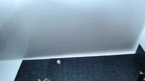 Hanna  online show from 12-17-24, 10:12